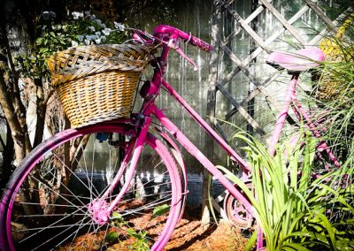 rising poetry - rózsaszín kerékpár
